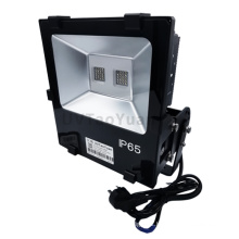 UV LED Floodlight 365nm 100W UV Curing Lamp